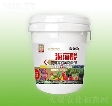 ������-ʢ��̩��-�f���_