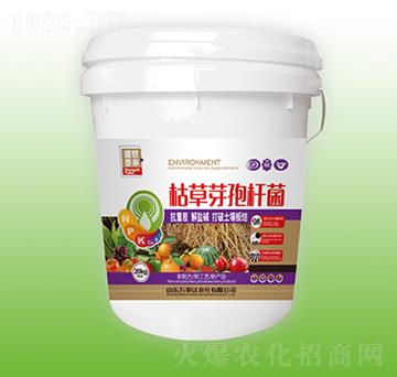 �ݲ�ѿ�ߗU��-ʢ��̩��-�f���_