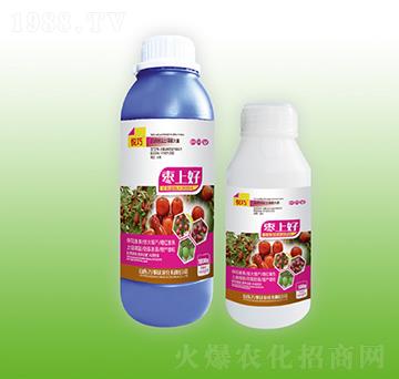 ���Ϻ�-����-�f���_