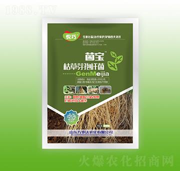 �����ݲ�ѿ�ߗU��-����-�f���_