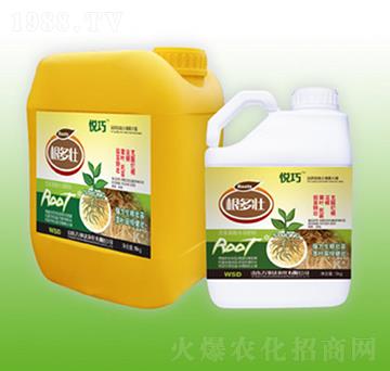 ������-����-�f���_