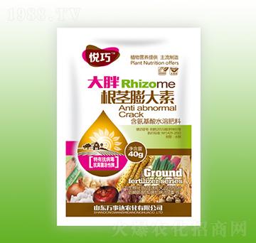 ���ָ��o�����-����-�f���_