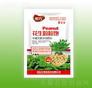 ���������-����-�f���_