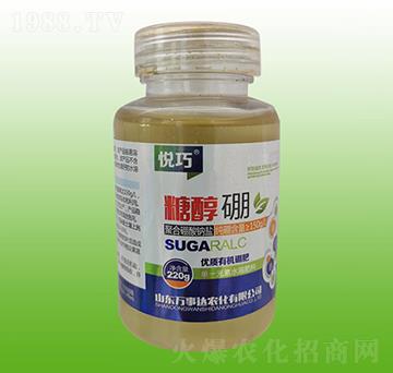 �Ǵ���-����-�f���_