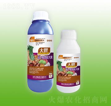 ���ֵ��¸��o�����-����-�f���_