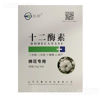 ʮ��ø�أ��޻����ã�-����-�f���_