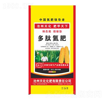 ���ĵ���-�컯�ʘI(y��)