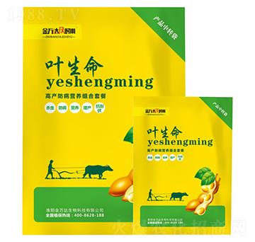 �߮a(ch��n)�����I(y��ng)�B(y��ng)�M���ײ�-�~����-�f�_(d��)���r(sh��)��