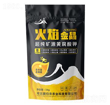 �����VԴ�S�����-�����-��w�r