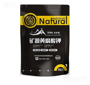 �VԴ�S�����-�S����-��w�r