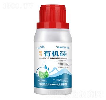 ��s�ӏ����ЙC��-����-��w�r