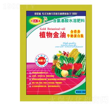 植物金油-甜如蜜