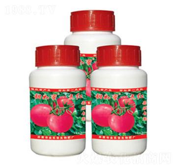 番茄專用一點紅-甜如蜜