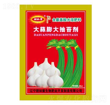 大蒜膨大抽苔劑-甜如蜜