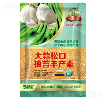 大蒜松口抽苔豐產(chǎn)素-嘉華生物