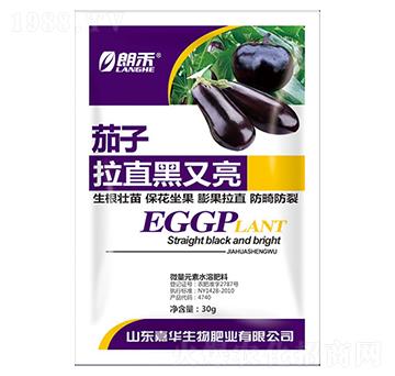 茄子拉直黑又亮-嘉華生物