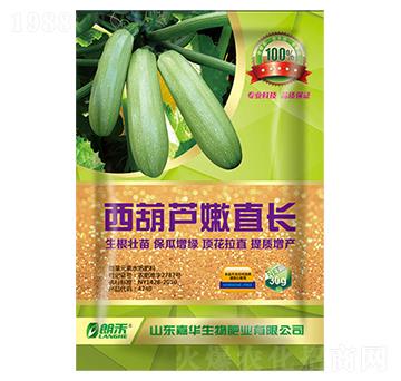 西葫蘆直長-嘉華生物