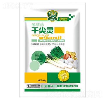 蔥韭蒜干尖靈-嘉華生物