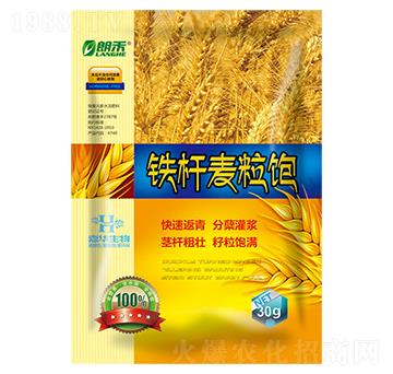 鐵桿麥粒飽-嘉華生物