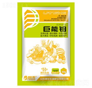 巨能鉬-嘉華生物