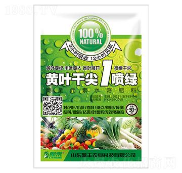 微量元素水溶肥-黃葉干尖1噴綠-嘉華生物