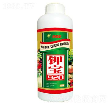 鉀寶920-珍能量-嘉華生物