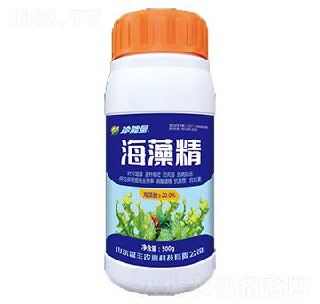 500g海藻精-嘉華生物