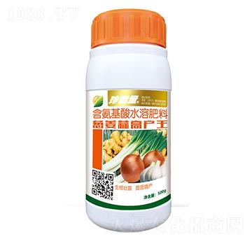 含氨基酸水溶肥料-蔥姜蒜高產(chǎn)王-嘉華生物