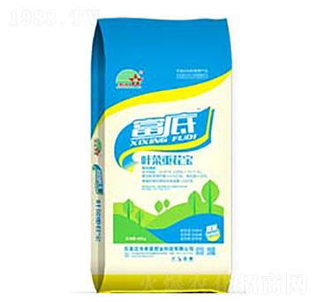 葉菜重茬寶復(fù)合微生物菌肥-富底-希星農(nóng)業(yè)
