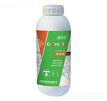 �F�V��-��������