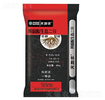 �S�������B(t��i)����14-43-0-����S