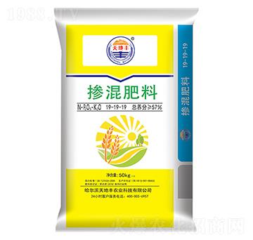 �������19-19-19-����S