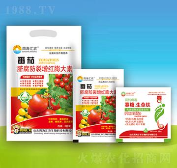 ����Ě���������t�����-�ĺ��R�r(n��ng)