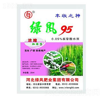 0.05%核苷酸水劑（濃縮加強(qiáng)型）-綠風(fēng)95-綠風(fēng)肥業(yè)