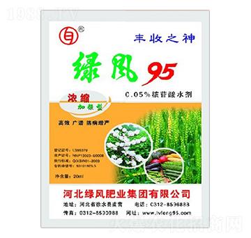 濃縮加強(qiáng)型核苷酸水劑-綠風(fēng)95-綠風(fēng)肥業(yè)