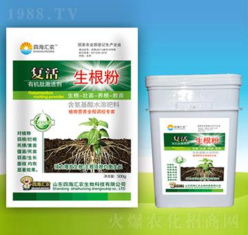 ��(f��)��������-�ĺ��R�r(n��ng)