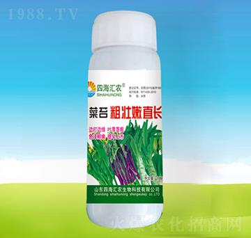 ��̦�։���ֱ�L(zh��ng)-�ĺ��R�r(n��ng)