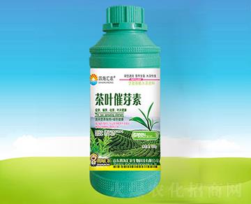 ���~��ѿ��-�ĺ��R�r(n��ng)