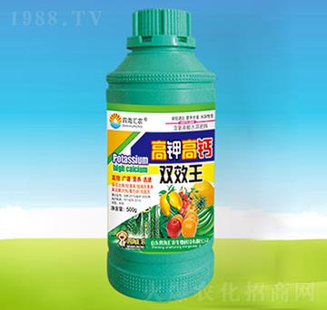 ��⛸��}�pЧ��-�ĺ��R�r(n��ng)