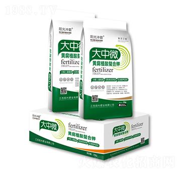 大中微黃腐植酸螯合鉀-陽光肥業(yè)