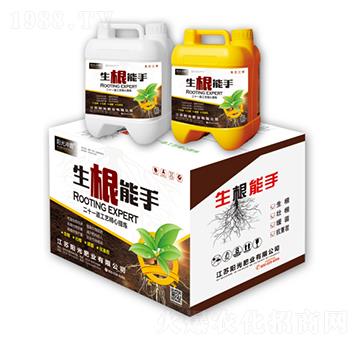 生根能手-陽光沖霸-陽光肥業(yè)