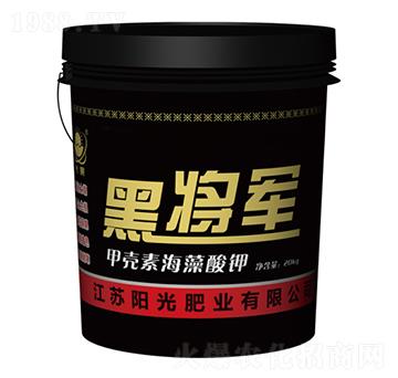 黑將軍甲殼素海藻酸鉀-陽光肥業(yè)