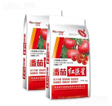 番茄紅含腐植酸水溶肥料-普羅曼-陽光肥業(yè)