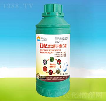 �t�������t��-�ĺ��R�r(n��ng)