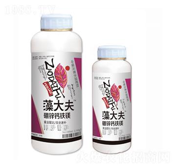 ���\�}�F�V-����-��һ�Z����