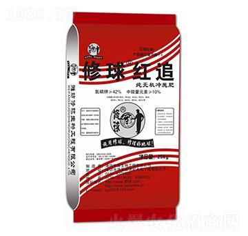 ���o(w��)�C(j��)�_ʩ��-����