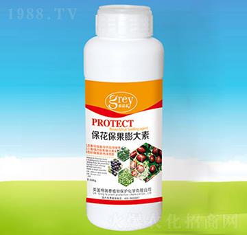 �������������-�ĺ��R�r(n��ng)