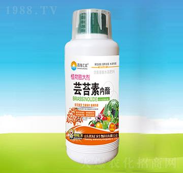 �|̦�؃�(n��i)֬-�ĺ��R�r(n��ng)