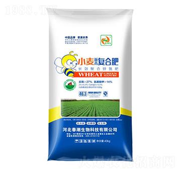 С�������ͺϷ�-�����t