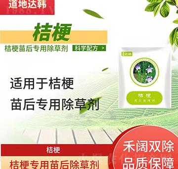 �۹����݄�-�۹����-